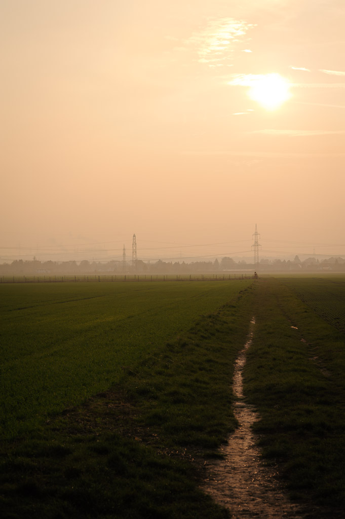 Power Lines